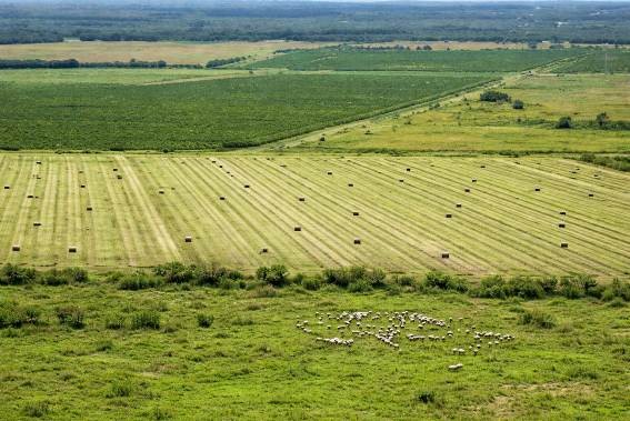 Terreno agrícola
